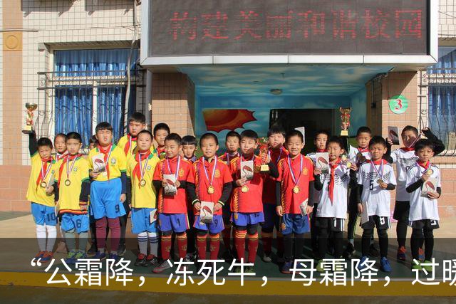 “公霜降，冻死牛，母霜降，过暖冬”，今年霜降是公还是母？答案来了！